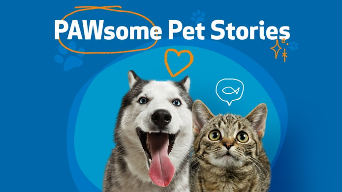 PAWsome-Pet-Stories-Email-Banner---Both-1
