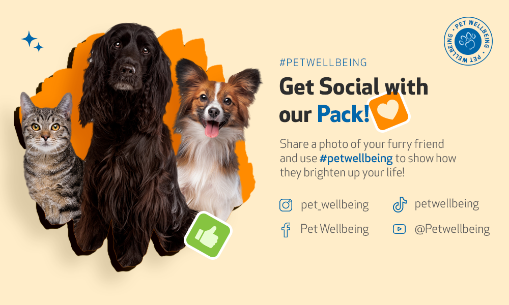 Get Social With Our Pack
