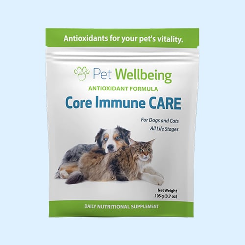 core-immune-care-BFCM