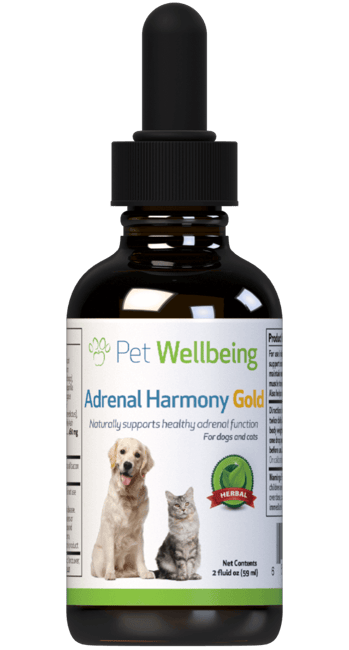 Adrenal Harmony Gold - for Dog Cushing's